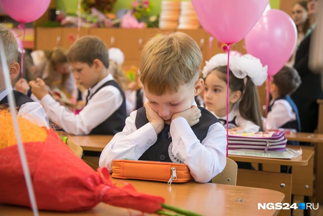 Много нового ждет и учеников, и родителей, и учителей | Источник: Артём Ленц / NGS24.RU