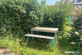 Источник: Елизавета Богатырева / NGS42.RU