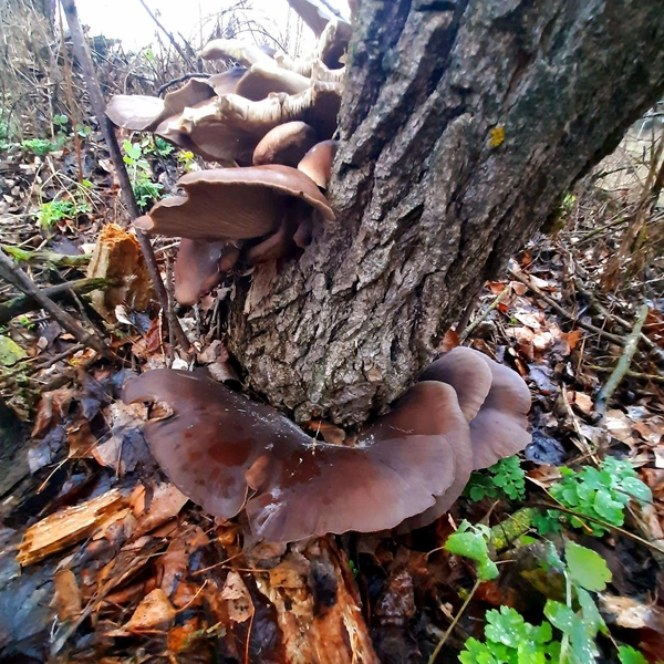 Источник: читатели V1.RU