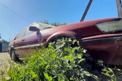 Волгоградцам предлагают путеводитель по судам от штрафов