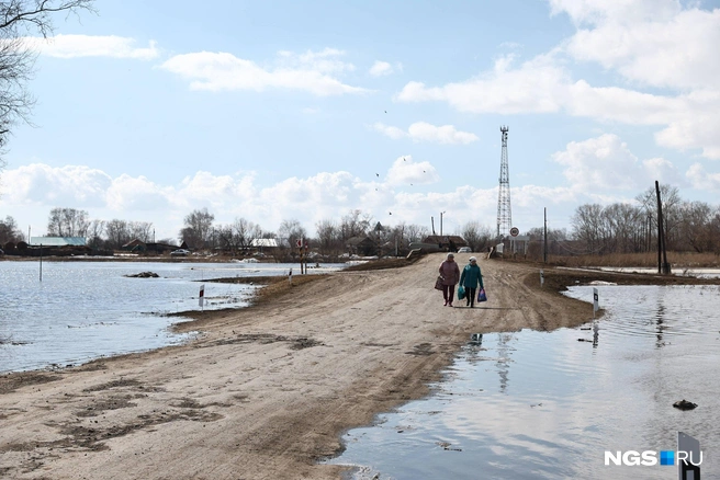 Несмотря на обстановку, некоторые жители всё же прогуливаются до магазина | Источник: Александр Ощепков / NGS.RU