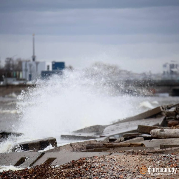 Источник: Валентин Егоршин / «Фонтанка.ру»