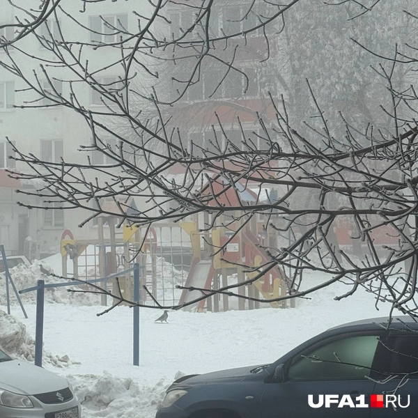 Источник: ufa1.ru