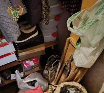 Источник: Прокуратура Ленинградской области / Telegram