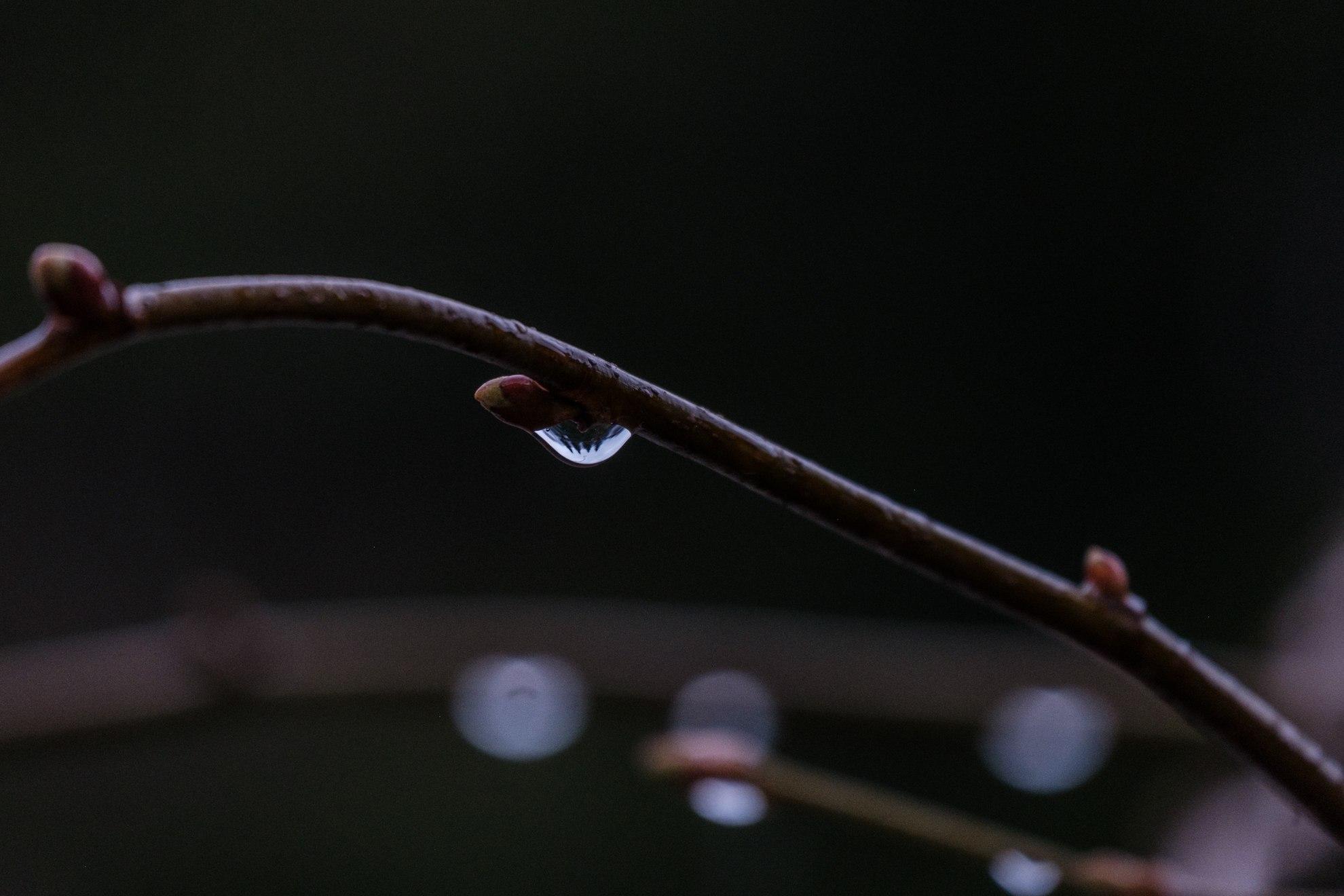 Год назад был снег, сегодня — апокалипсис: сравниваем Уфу 10 апреля в 2025 и 2026 годах