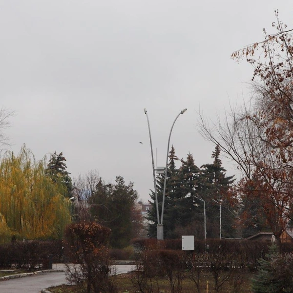 Источник: t.me/saratovduma