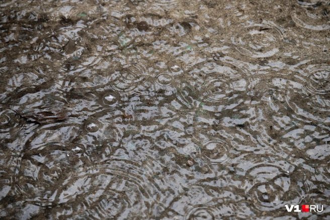 Вода прорывается из тающего ледника | Источник: Елена Буйвол / VLADIVOSTOK1.RU