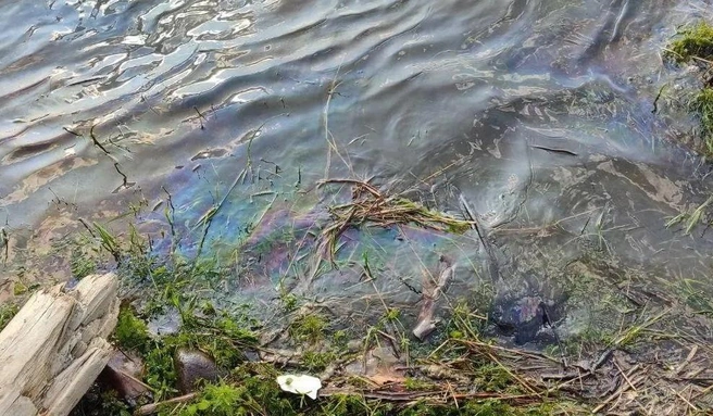 У берегов вода теперь такая | Источник: глава Момотовского сельсовета Сергей Чащин