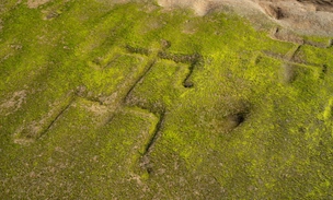 28 человечков на пляже: море вновь обнажило 600-летние гавайские петроглифы (фото)