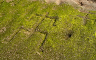 28 человечков на пляже: море вновь обнажило 600-летние гавайские петроглифы (фото)