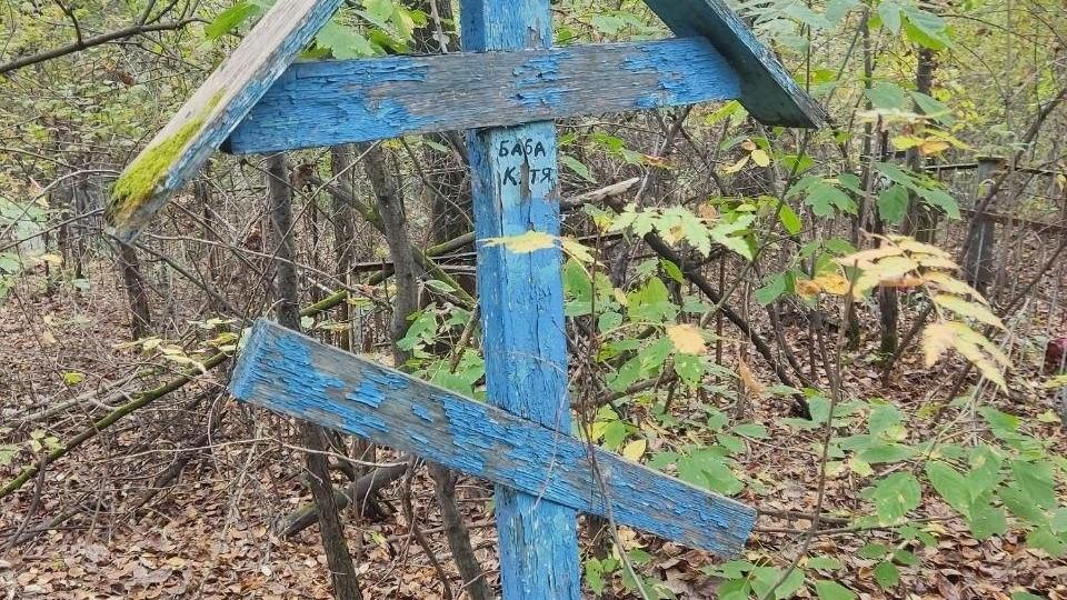 Житель Новокузнецка во время прогулки у дороги нашел человеческие кости — видео