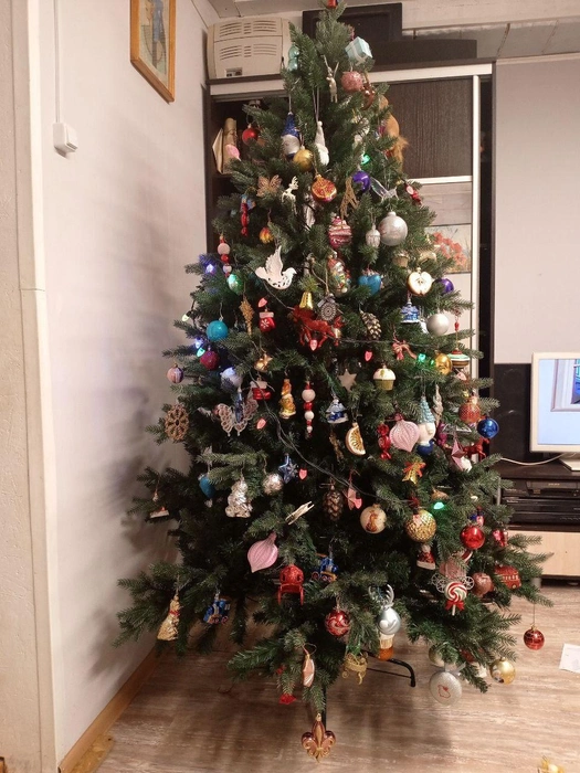 Интересно, сколько времени ушло на такое тщательное украшение?  | Источник: читатель 63.RU 