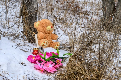 Омбудсмен: внешнее благополучие не гарантирует безопасность детей