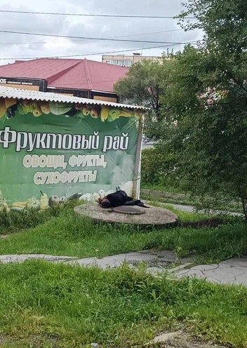 Источник: Приморье сегодня / MAX