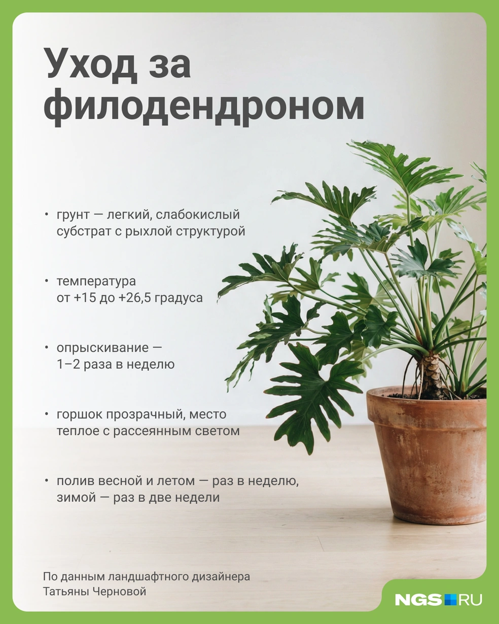 Источник: Юрий Орлов / Городские медиа