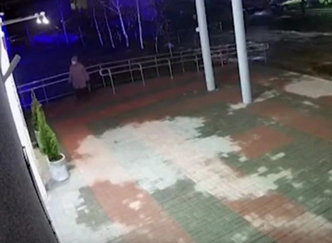 Кража туи с территории рязанской библиотеки попала на видео | ya62.ru