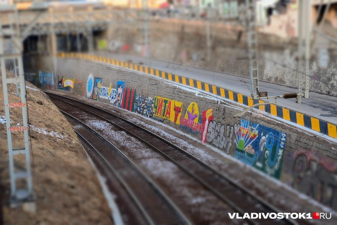 Источник: Елена Буйвол / VLADIVOSTOK1.RU