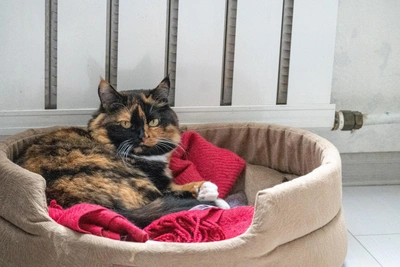 Accidents on Heating Networks Eliminated in Samara's Industrial and Kirovsky Districts