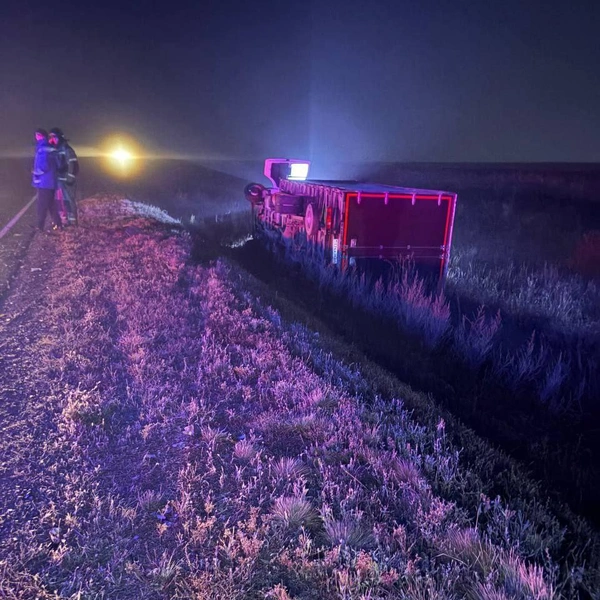 Источник: УМВД России по Оренбургской области