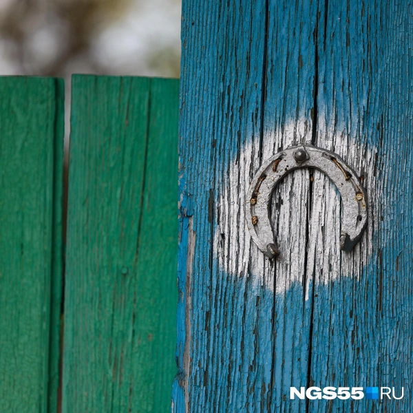 На удачу | Источник: Евгений Софийчук / NGS55.RU