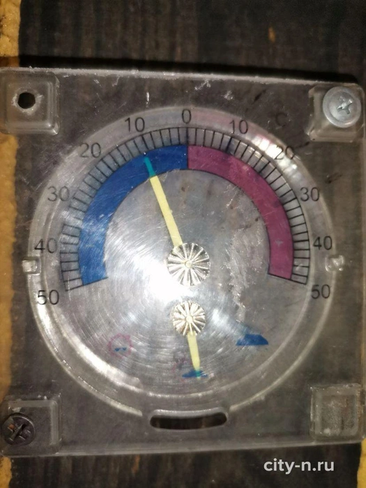Понижение температуры привело к изморози и гололедице, пострадали растения, неустойчивые к морозу | Источник: www.city-n.ru
