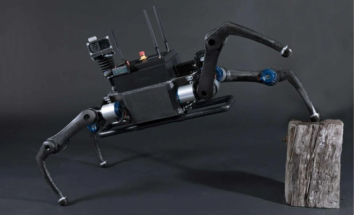 Не ждет команды от человека: как четвероногий «робопес» будет исследовать Марс