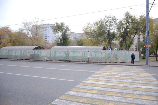 Источник: мэрия Оренбурга / t.me