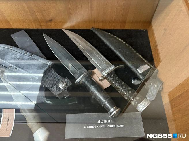 Чего только не находят на местах преступлений | Источник: Тамара Башаева / NGS55.RU