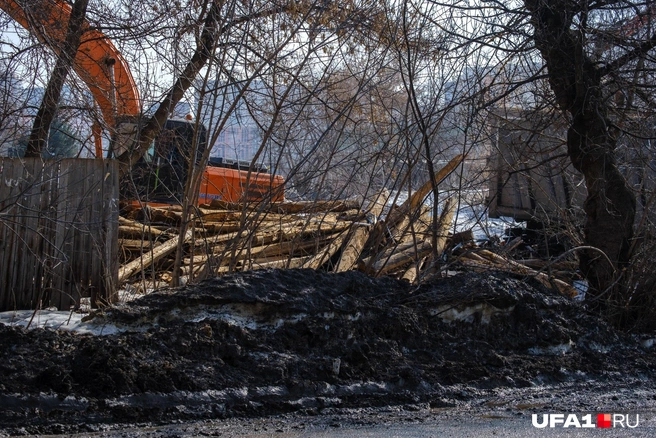 Источник: Булат Салихов / UFA1.RU