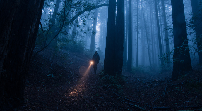 Если вы заблудились в лесу: инструкция по выживанию от психолога