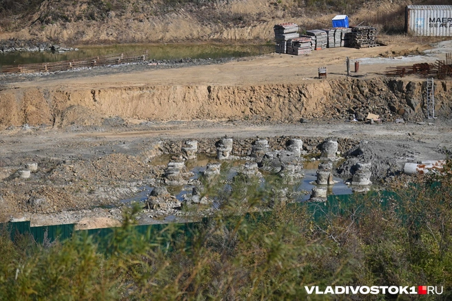 Источник: Елена Буйвол / VLADIVOSTOK1.RU