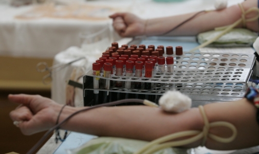 Петербург впервые может провести лето без дефицита донорской крови