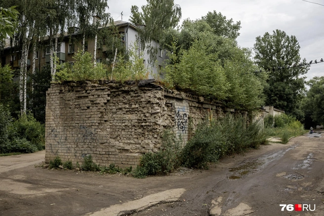 Зелень почти проглотила остатки гаражей  | Источник: Александр Куренной / 76.RU