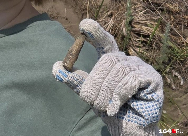 То ли ростр белемнита, то ли копролит | Источник: Семен Коротов-Майбах / 164.RU