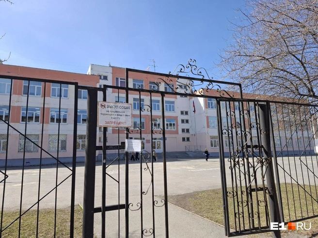 Всех школьников отправили на дистант, чтобы обработать помещение | Источник: Елена Аносова / E1.RU