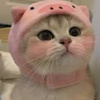 userpic__Анна283