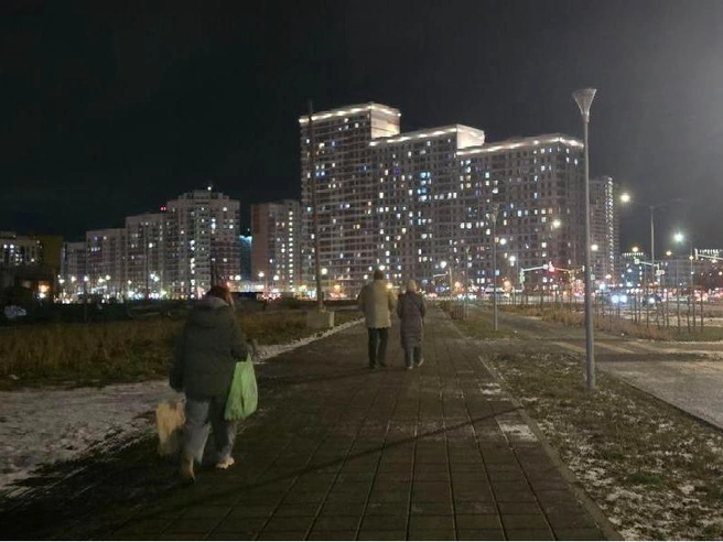 Чиновники заявили о готовности электрических сетей, но отметили, что необходимы документы. | Источник: читатель E1.RU