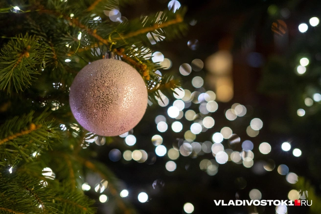 Источник: Елена Буйвол / VLADIVOSTOK1.RU