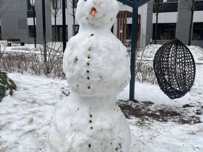Встречаются и более крепкие экземпляры. | Источник: читатель E1.RU