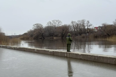 Рост уровня воды в Тоболе: данные по Звериноголовскому и Кургану