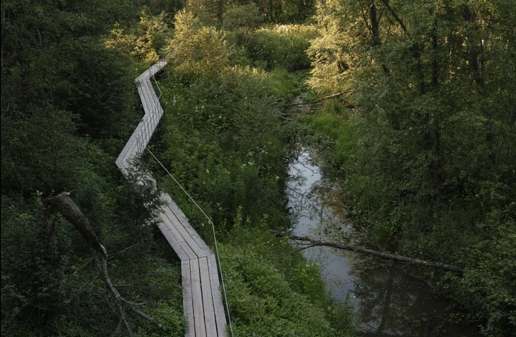 Парк Веретьево. Проект Александра Бродского. | Источник: АРХИWOOD