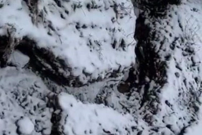 Ростовчанка требует ремонта дороги с ямами до метра