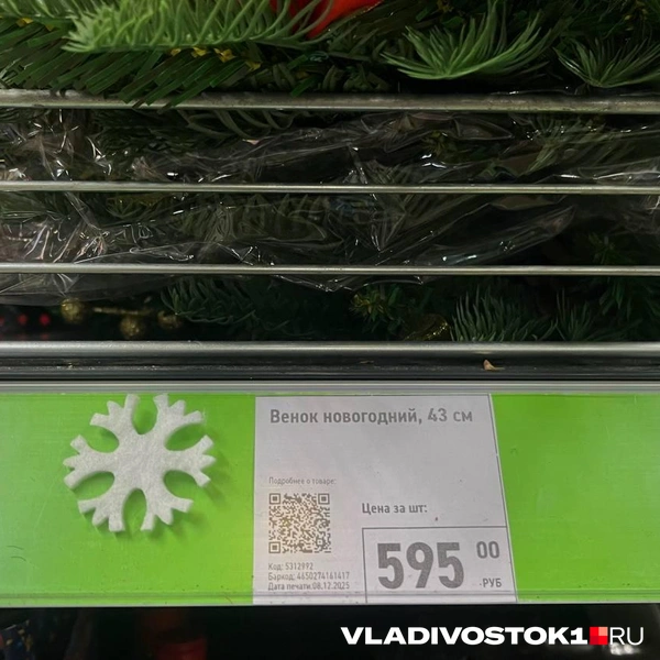 Источник: Елена Буйвол / VLADIVOSTOK1.RU