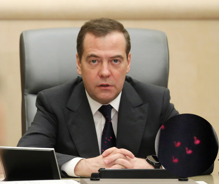 Дмитрий Медведев удивил нарядом в стиле Нагиева