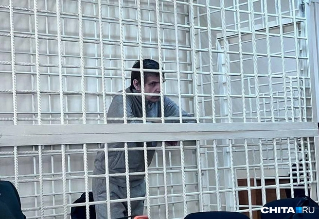 Дениса Мерзлякова приговорили к сроку в январе этого года | Источник: Александр Хамраев / СHITA.RU