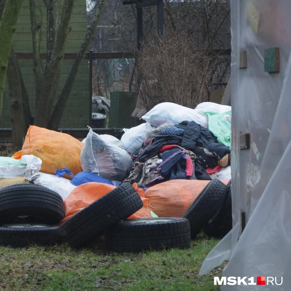 Источник: Дмитрий Толстошеев / MSK1.RU