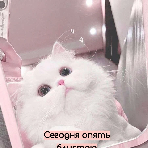 Источник: Социальные сети