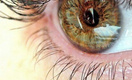 Ученые вырастили искусственную сетчатку глаза