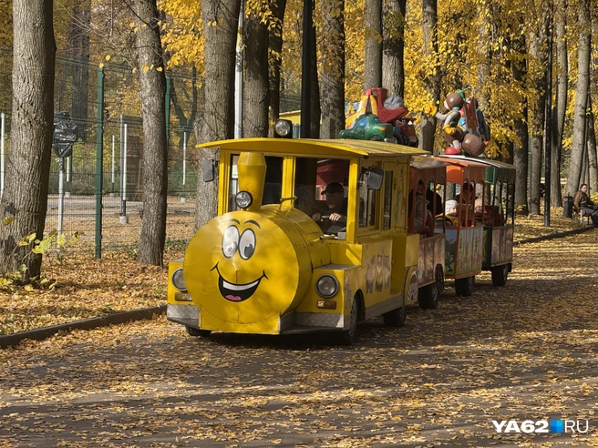 А вот и аттракцион, такой же яркий и золотой, как парк | Источник: Сергей Петунин / YA62.RU