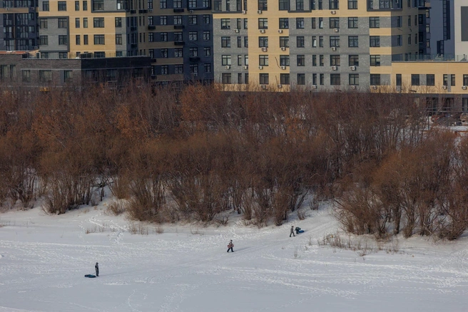 Источник: Ирина Шарова / 72.RU